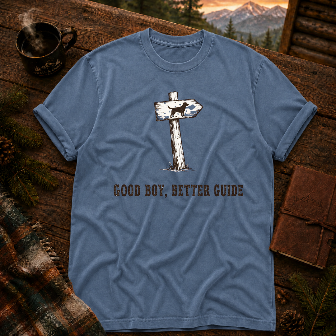 Good Boy Better Guide - Comfort Colors T-Shirt