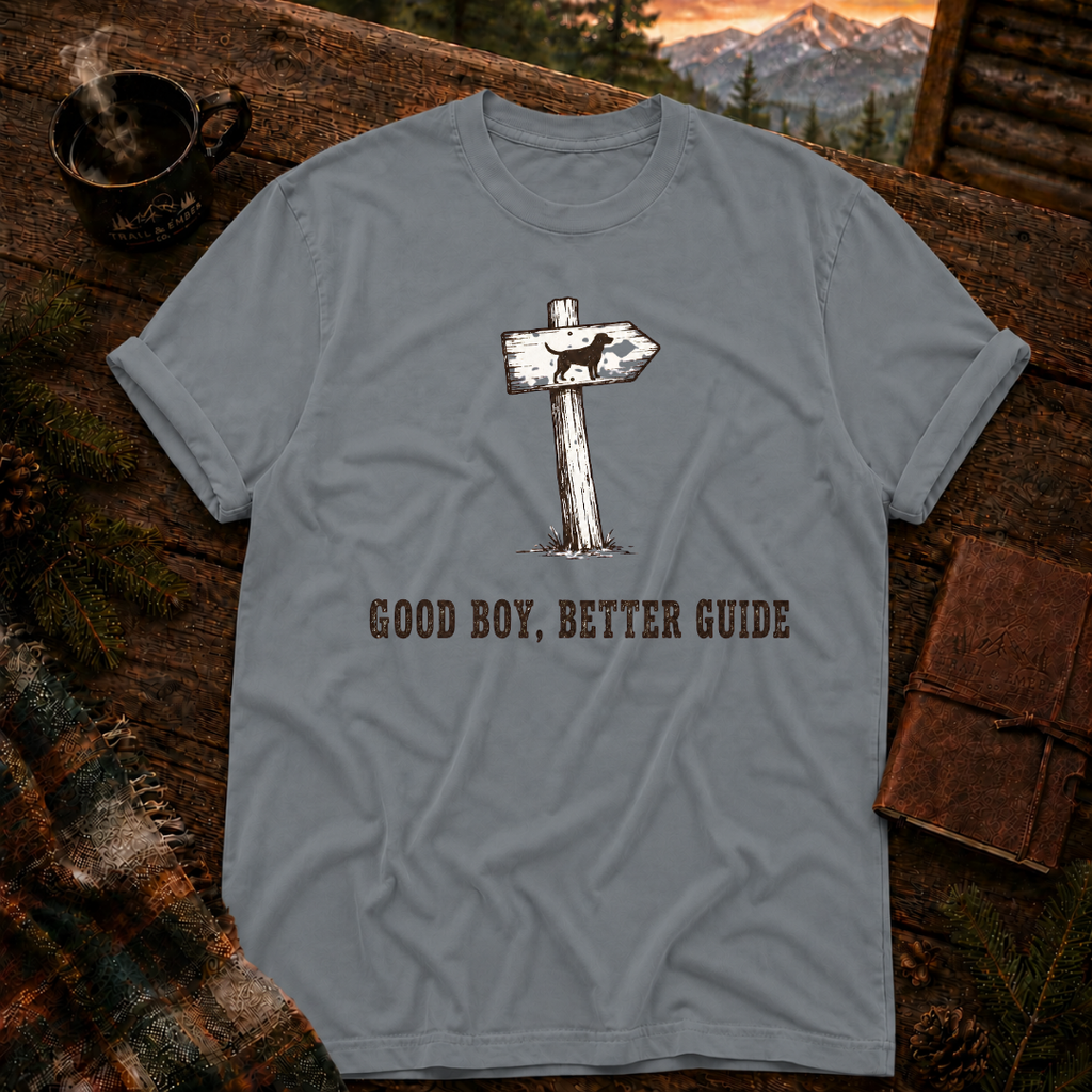 Good Boy Better Guide - Comfort Colors T-Shirt